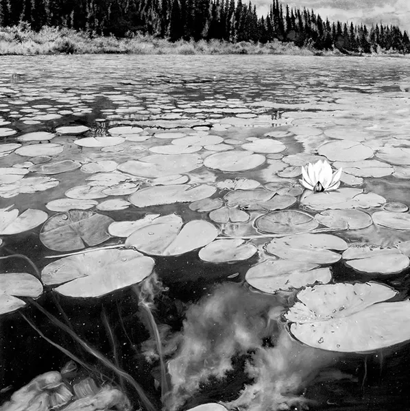 "Wolcott Pond in Bloom" - GABRIEL TEMPESTA