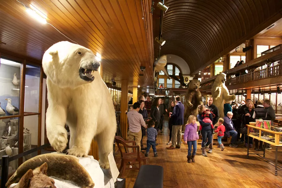 St. Johnsbury's Fairbanks Museum & Planetarium - MARGARET GRAYSON