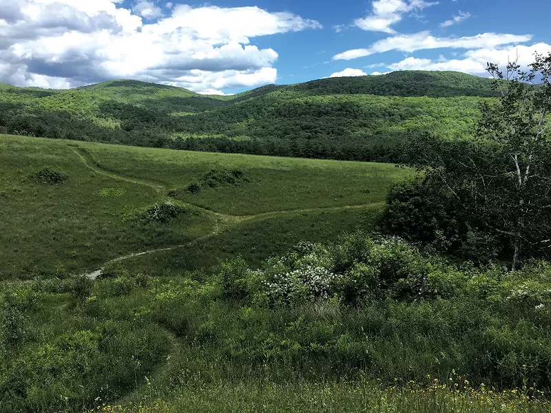 Taconic Mountains Ramble vista - PAMELA POLSTON