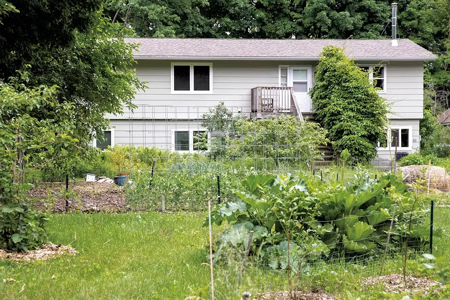 Matt Kolan's sprawling front garden in Queen City Park - JAMES BUCK