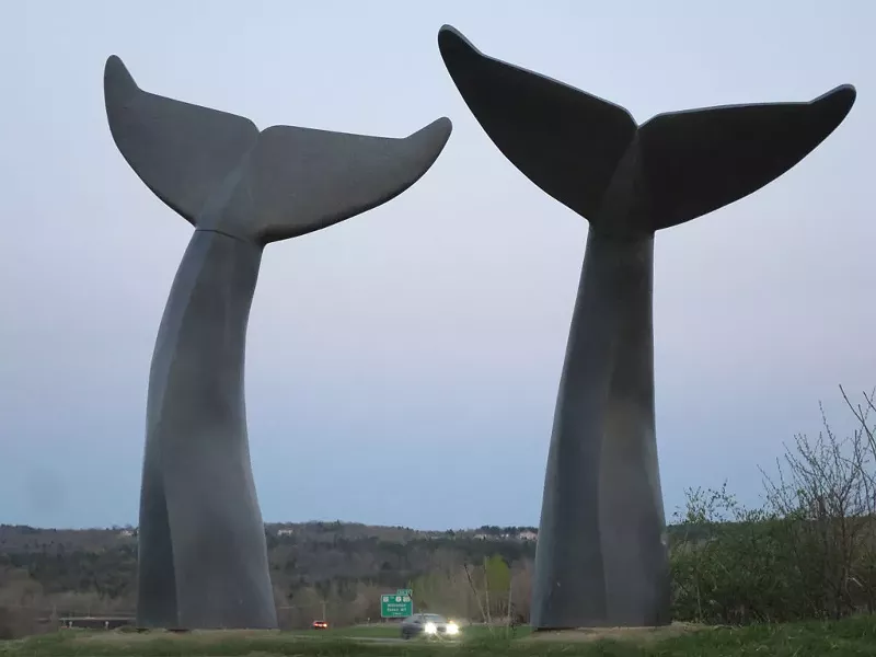 Whale Tails - MATTHEW THORSEN