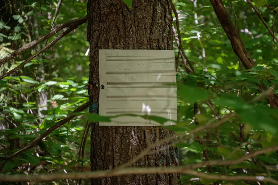 Beethoven Walks installation detail - ZACHARY STEPHENS