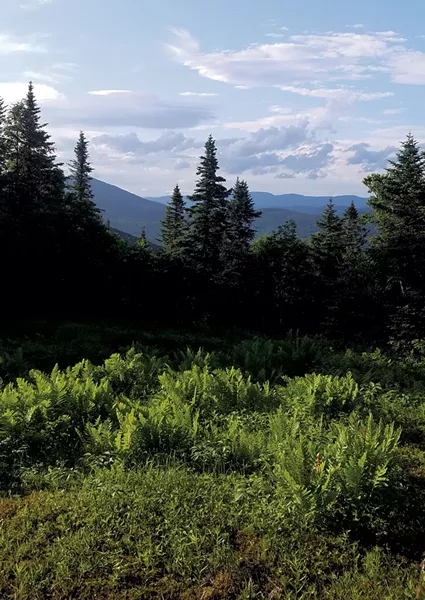View from a hike on Jay Peak - COURTESY OF HANNAH VICKERY