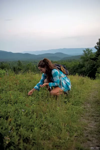 Carly Averill picking berries in the Green Mountain National Forest - CALEB KENNA ©️ SEVEN DAYS