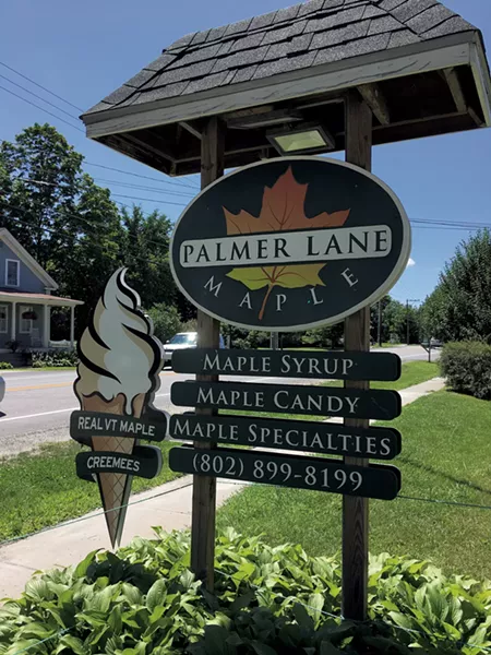 Palmer Lane Maple - PAMELA POLSTON ©️ SEVEN DAYS