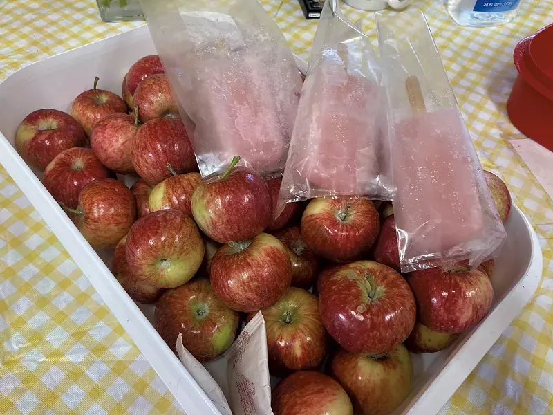Apples and apple cider bars at Sweet Seasons Farm & Artisan Confections - MARGARET GRAYSON ©️ SEVEN DAYS
