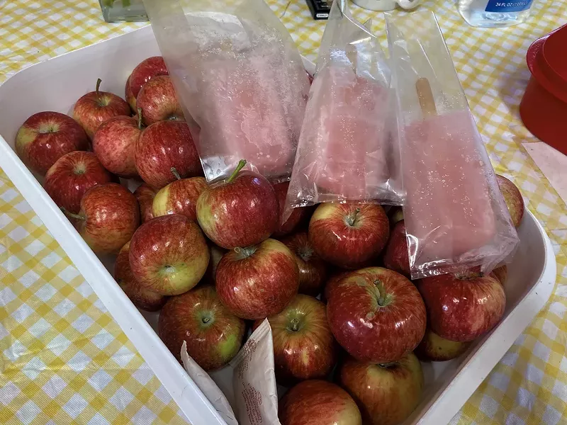 Apples and apple cider bars at Sweet Seasons Farm & Artisan Confections - MARGARET GRAYSON ©️ SEVEN DAYS