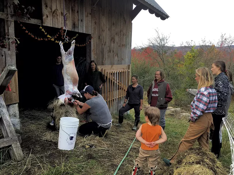 Slaughterer Mary Lake working on a farm in Lincoln in 2018 - MELISSA PASANEN ©️ SEVEN DAYS