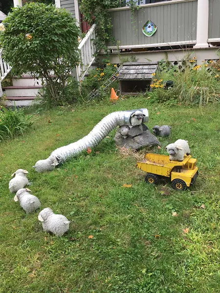 Sheep tableau at a Brattleboro residence - PAMELA POLSTON ©️ SEVEN DAYS