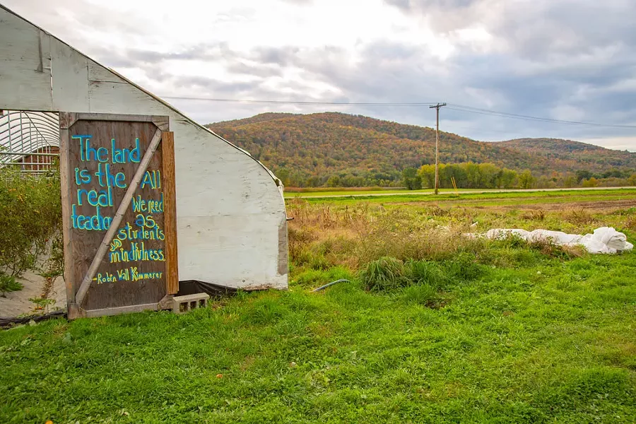 The "three sisters" bed grown for the Abenaki Land Link Project (to the right of the greenhouse) - JORDAN BARRY ©️ SEVEN DAYS