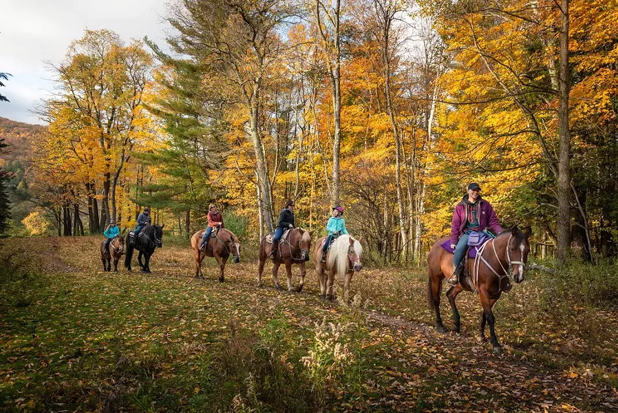 Horseback rides through the seasons with Lajoie Stables - BRIAN DEWYEA