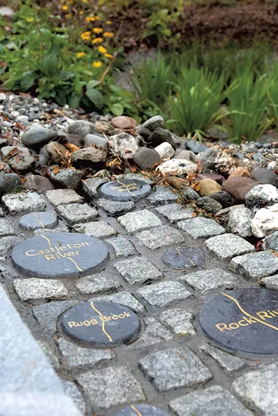 Rain garden in Burlington's City Hall Park - RENEE GREENLEE | COURTESY OF BURLINGTON CITY ARTS