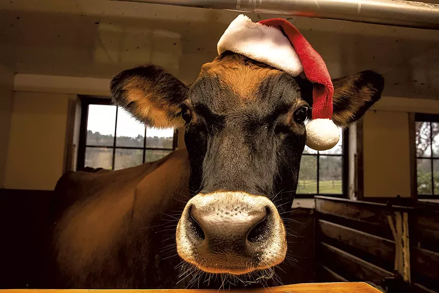 Christmas at the Farm - COURTESY OF BILLINGS FARM