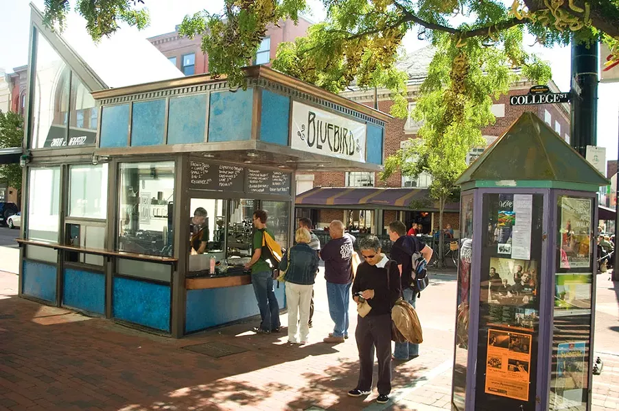 Bluebird Coffee Stop - MATTHEW THORSEN