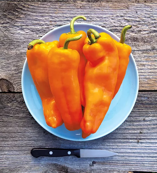 Lively Italian sweet peppers