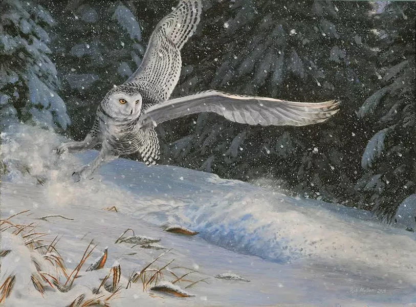 "Snow Squall"
