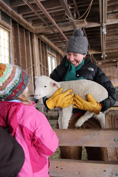 Sheep and Shear Delights - COURTESY OF VERA CHANG