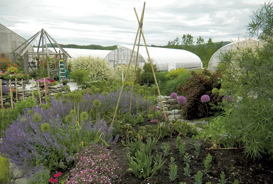 COURTESY OF RED WAGON PLANTS