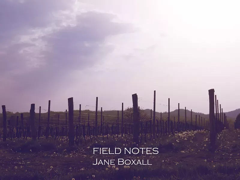 Jane Boxall, Field Notes