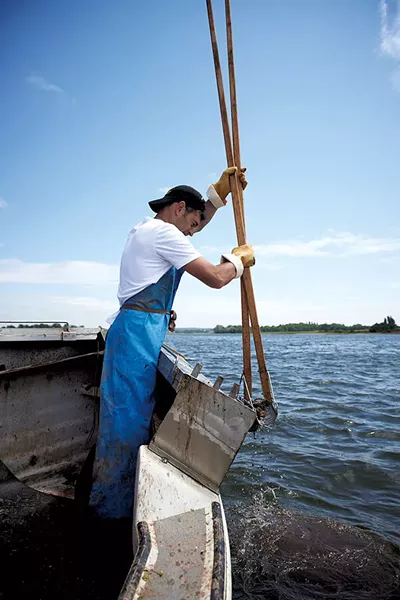 Rowan Jacobsen tonging oysters - COURTESY OF ROWAN JACOBSEN
