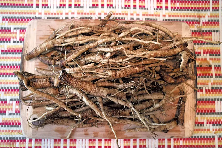 Burdock root - COURTESY OF MISHA M. JOHNSON