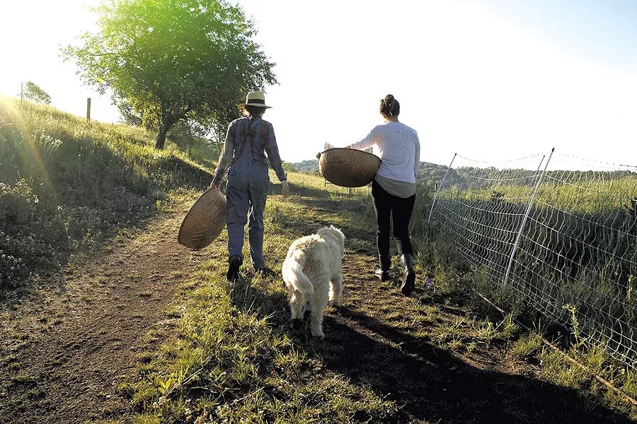 Red clover harvest at Free Verse Farm - COURTESY OF URBAN EXODUS