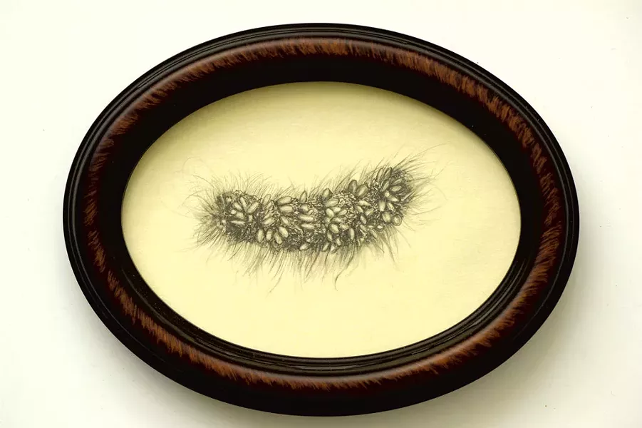 "Inhaling the Spore (detail — Caterpillar with parasitoid infestation)" - COURTESY OF BRIAN COLLIER