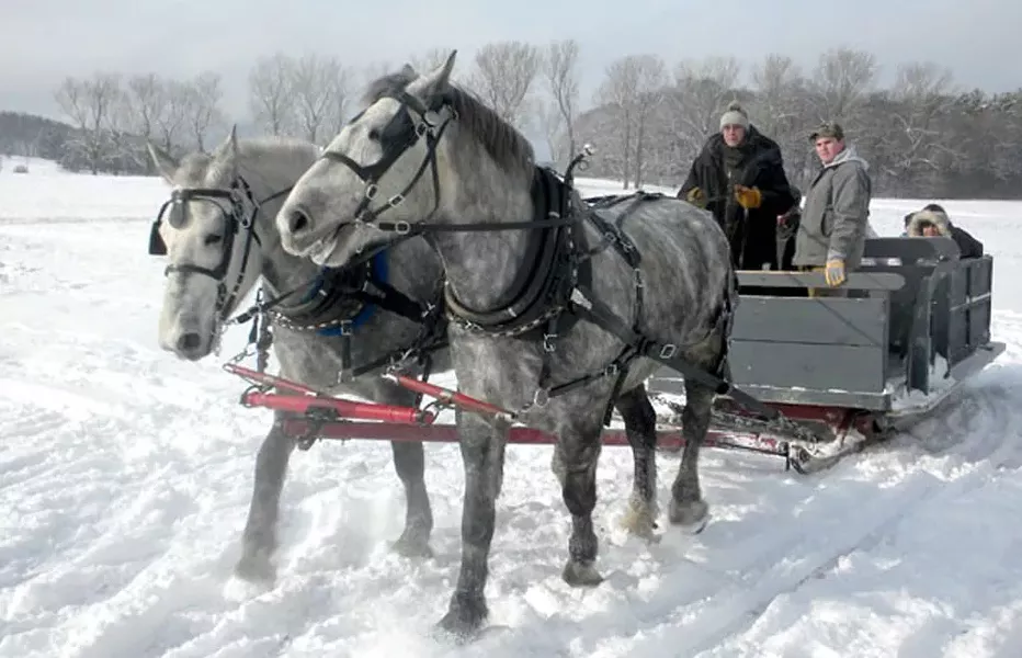 COURTESY OF SHELBURNE FARMS