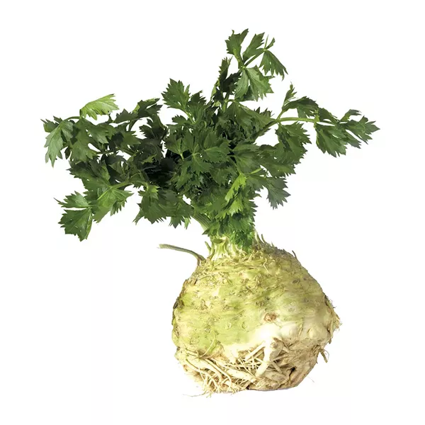Celeriac - DREAMSTIME.COM