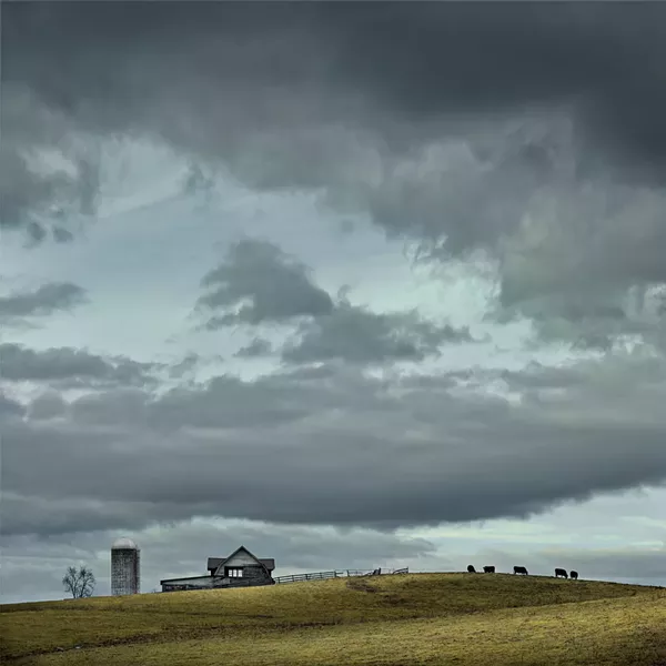 Jim Westphalen, "Mountain View, Stock Farm"