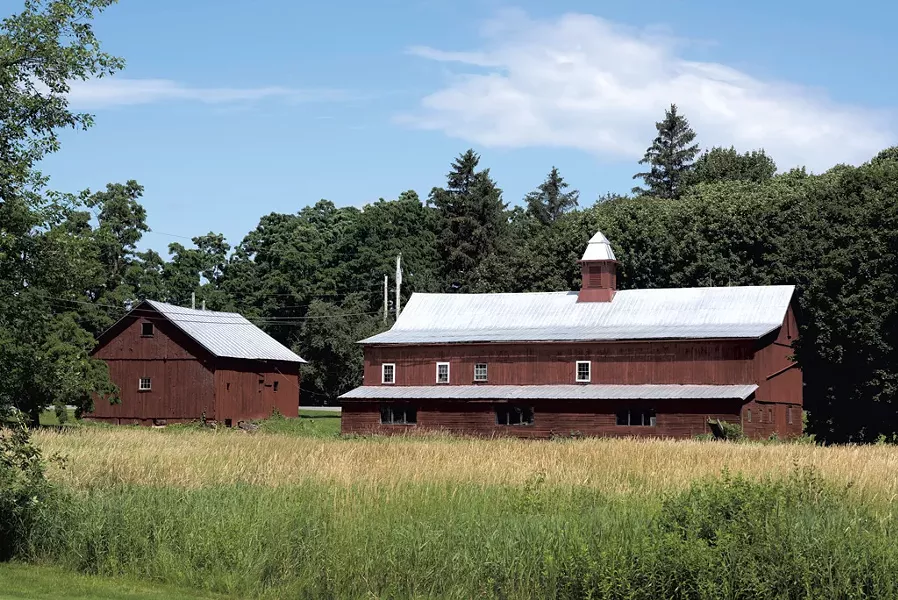 Clemmons Family Farm in Charlotte - CALEB KENNA