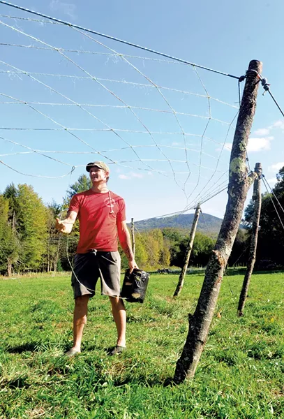 Anthony Kessler weavinga sukkah structure - JEB WALLACE-BRODEUR