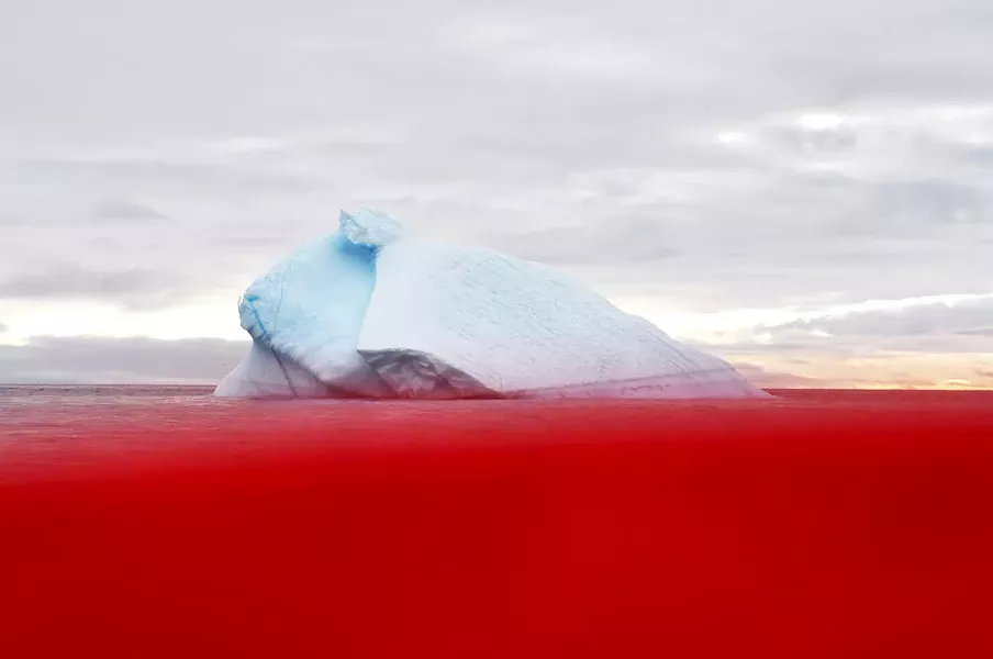 "Crossing the Line" by Jessica Houston