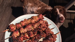 Sesame beef skewers (and a hungry dog)