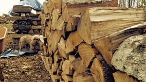 An Aspiring Woodchuck Offers Beginner's Advice on Storing Firewood