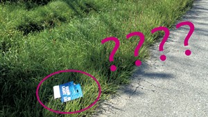 Roadside litter from Bud Light, Vermont's "cheap beer of choice"
