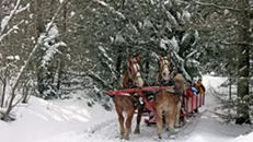 Save the Dates: Fun Stuff for Families This Winter