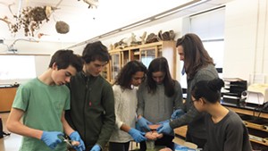 Middlebury Union High School neuroscience club with Middlebury College students at the 2018 Vermont Brain Bee.