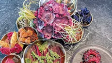 Denobulan Sausages and other space foods