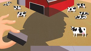 Fear on the Farm: Trump's Immigration Crackdown Threatens Vermont's Dairy Industry