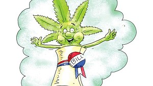 Marijuana Legalization Bill Hits Vermont Governor's Desk