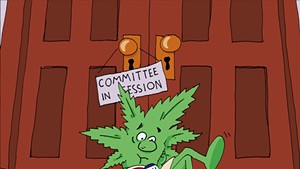 Vermont Marijuana Legalization Stalls in the House, Fails Again