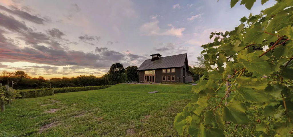 Shelburne Vineyard - COURTESY OF SHELBURNE VINEYARD