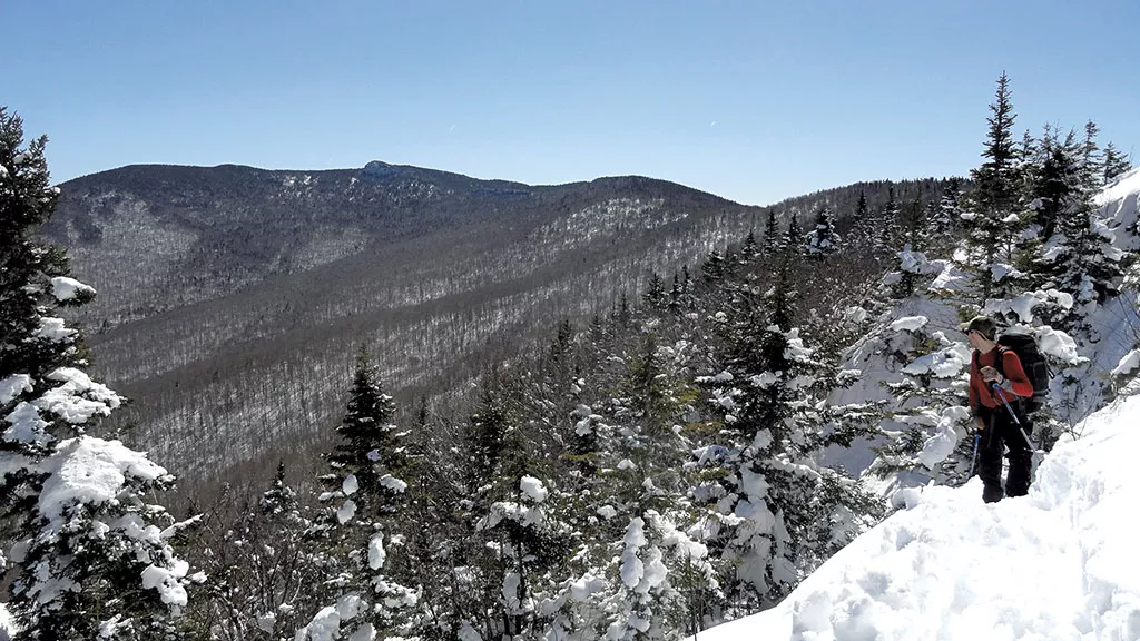 Burnt Mountain - COURTESY OF THE NATURE CONSERVANCY