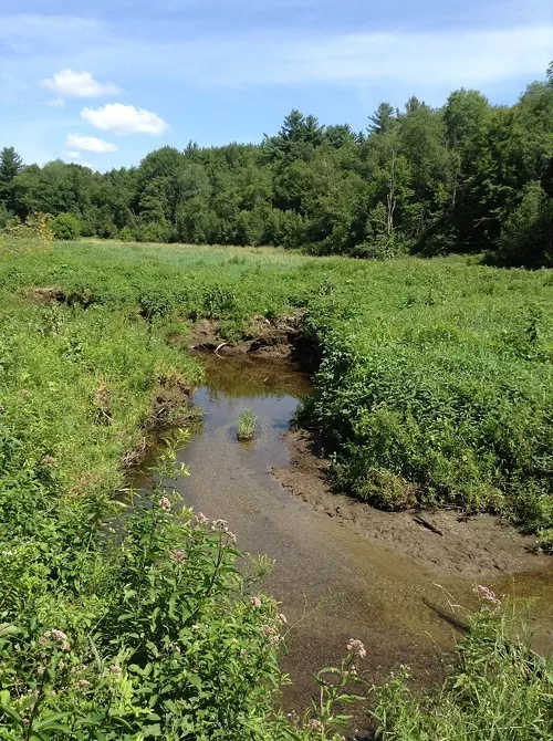 View from the Allen Brook Nature Trail