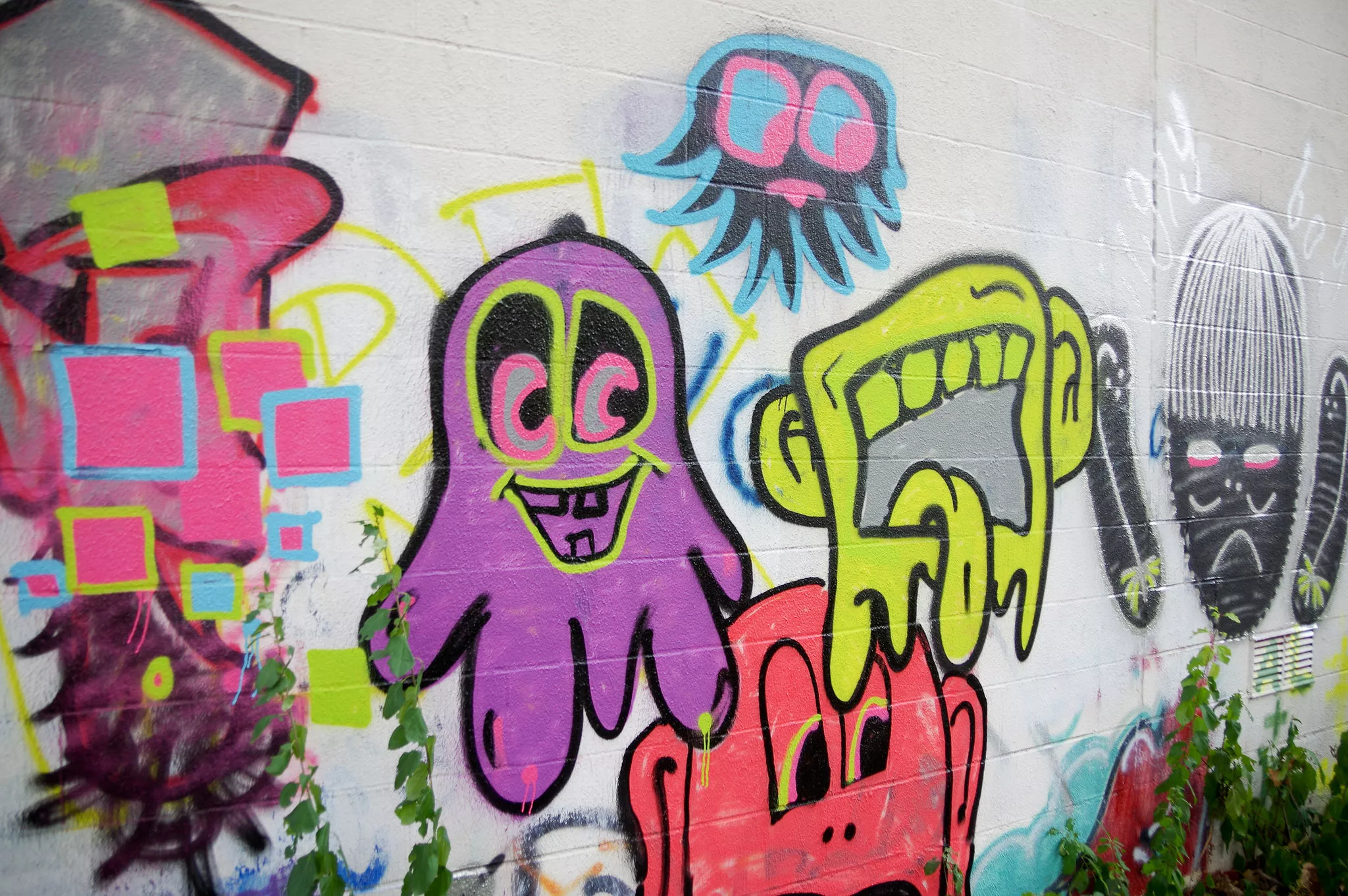 Champlain College Students Color South End Wall Live Culture