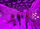 Bailing Out of Essex, Babaroosa Proposes an Immersive Art Exhibit in Burlington's Memorial Auditorium