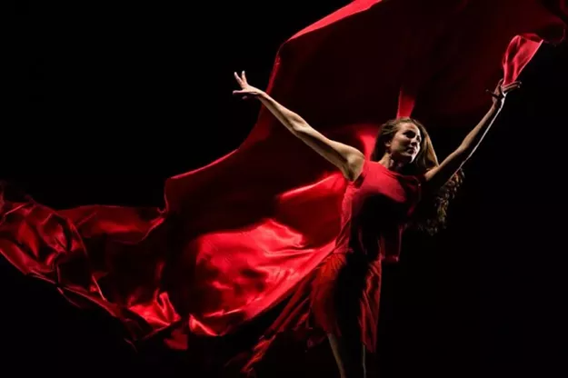 The Magnificent 7: Must See, Must Do, December 31 to January 6 - Vimarsana News