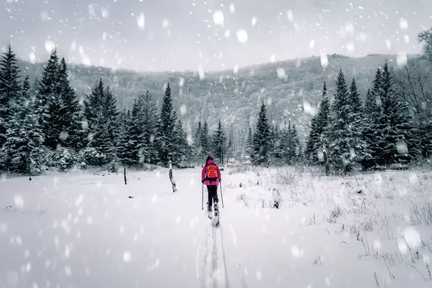 Making Fresh Tracks Into 2021 With Vermont's 'Staytripper' - Vimarsana News