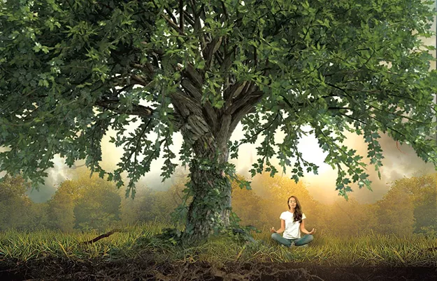 Vermont Author Aaron Hoopes Has a Prescription for Stressful Times: Going Back to Nature - Vimarsana News